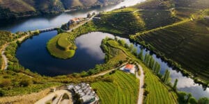 4. Douro Valley Wine Tour